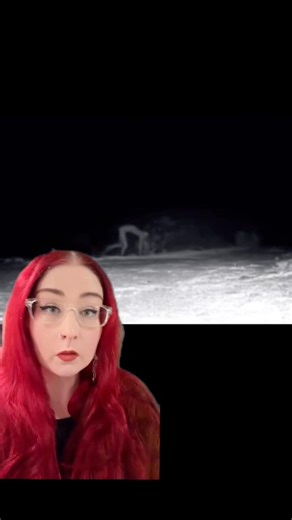 609K views · 15K reactions | Could this be the creature that stalks Ocala National Forest? . . People have described the ONF creature as very tall and lanky with incredibly long limbs and a flat face with no nose or mouth.  #scarystories #creepyvideos #florida | Swamp Witch Tales | Facebook