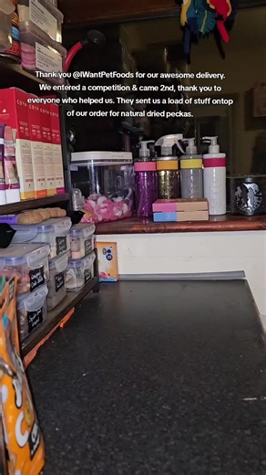 Thank you for an awesome delivery @I Want Pet Foods Thank you @Wildlife&Who,Dunnit,What&When for sharing the awesome peckas & thank you to everyone who helped us get 2nd place. #petshop #dogtreats #thankyou #wewon #cutedog