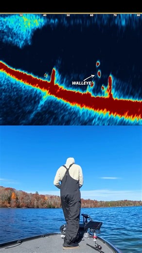 Drop it down ➡️ Set the hook ➡️ Repeat 🔁 #MEGALive2 #Humminbird