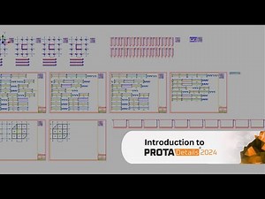 Introduction to the ProtaDetails 2024