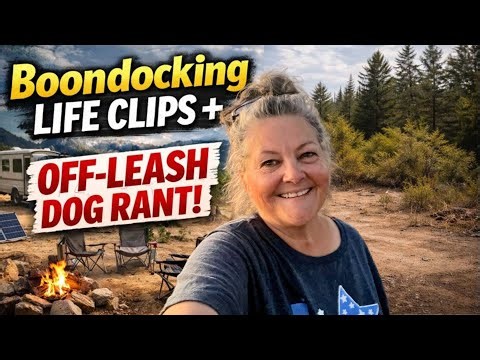 Boondocking Life Clips + My Off-Leash Dog Rant | S10.E201