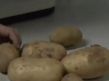 我国马铃薯育种技术取得重大突破 大大提高了育种进程（来源：央视网）#科技报国 #马铃薯