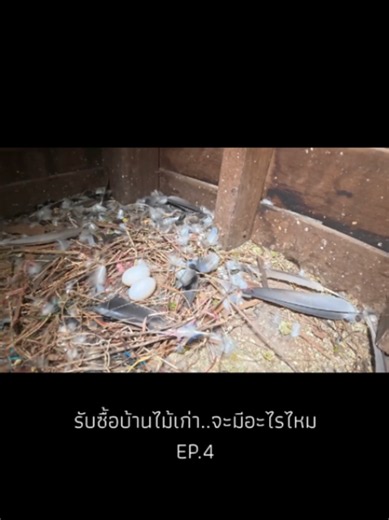 มีอะไรปะวะ..... #แจ็กแปปโฮ #แจ็กแปปโฮอย่างโดนช้อนแกง #สวัสดีครับผมแจ็กแปปโฮ