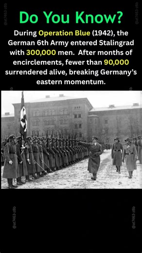 Battle of Stalingrad ⚔️ | Operation Blue (WW2) #shorts #facts