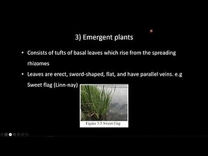 G10_Biology_Chapter_3_Part_1