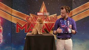Captain Marvel Star Goose Reveals His Favorite Marvel Superhero