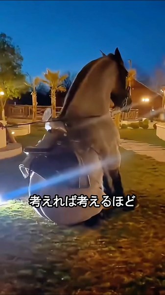 ​馬の繊細な感情とコミュニケーションの秘密