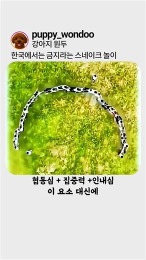 스네이크놀이를 요즘 안하는 이유