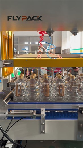 Pick and place Case packer for bottles#Casepacker# casepacking# Packagingmachine#manufacturer