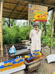 239K views · 2.8K reactions | ORGANIC AnD PURE HONEY ( DUNERA ) DALHOUSIE ROAD , 7837549515 #purehoney #organicbeefarm #facebookfoodreels #facebookreelsviral #FacebookViralPost #FacebookFood #dalhousietrip #FarmingUK #farmingbee #viralreelschallenge #FacebookPage #facebookpost #support #supportlocalbusinesses #supportlocaltalent #punjabfoodie #punjabibrothersvlog | Punjabi Brothers Vlog | Facebook