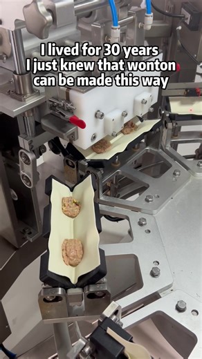 Look at this fully automatic wonton machine #wonton #sourcefactory #foodmachine #foodfactory #dumplings