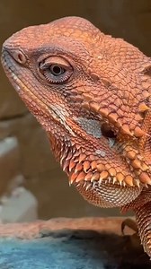 236K views · 1K reactions | Ear and nose boogers . . Source :...