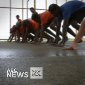 77K views · 336 reactions | DON DALE: A program that combines...