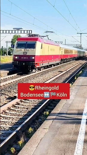 🇩🇪😍😯 Rheingold TEE (AKE) mit 101 001 | Lindau ➡️ Köln | Durchfahrt TAU