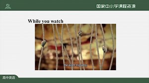 Unit5 Languages around the World Video Time