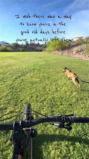 Andy Bernard (Ed Helms) in the series finale of The Office #ZMF