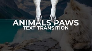 Animals Paws - Text Transitions - Premiere Pro Templates | Motion Array