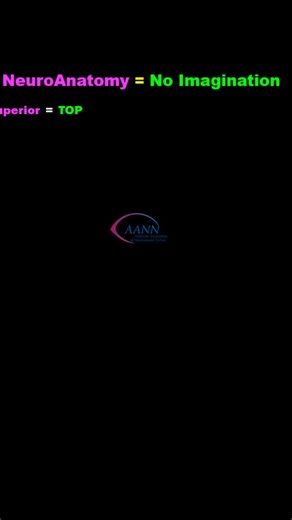The superior frontal gyrus is the gyrus the most superior gyrus that is in the frontal lobe... #KISS Is key to #neuroanatomy. #gyrus #neuronurses keep neuroanatomy simple #neuronerds #brain #stroke #nursingschool #delirium #dementia #nursingresearch | Journal of Neuroscience Nursing | Facebook