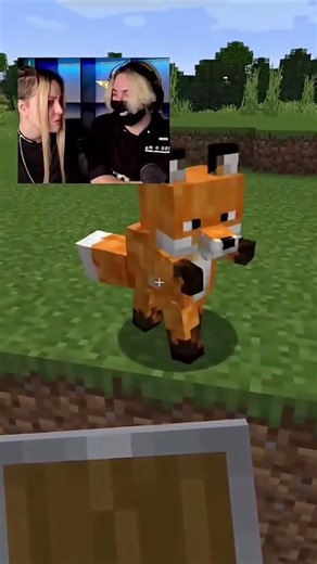 The fox dancing #shorts #youtubeshorts