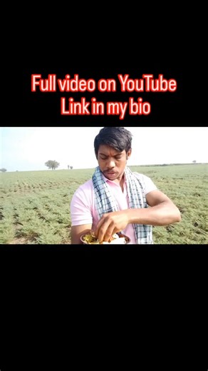 ❤️💛ಕನ್ನಡಿಗ ರಘುವೀರ್ ದೇಸಾಯಿ on Instagram: "Full video on YouTube Link in my bio🥰 #honeylover #honeylife #honey #kanndavlog #kannda #kanndacomedy #instgram #facbookpage #facbookshort #facbookvairal #facbbokviralreel #facebook #youtube #youtubevideo #youtubeblogger #youtubeshorts #youtuberlife #youtubevideo #kanndavlog #bloggeryoutuber #blooger_boy #bloggerlove #blggerstyle #villageblogger #Village #villgelife🏞️💚🌾 #vlog #blooger @raghveer55"