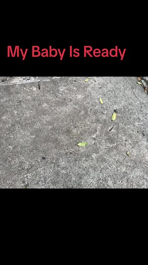 Maserati Babe #fyp #sgtt #jasabaik #maseratighibli #carssg #kakamboi #susanmariam #awesomemalaysg #tiktokmalay