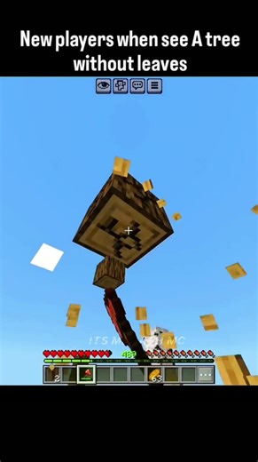 new player vs old player when they see a tree without leaves in Minecraft #mimecraft #herobrine