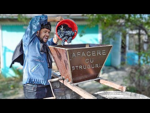 Mitică și Afacerea cu Struguri #3Chestii