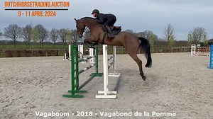 1.2K views · 78 reactions | DUTCH HORSE TRADING AUCTION: HUNTERS,...