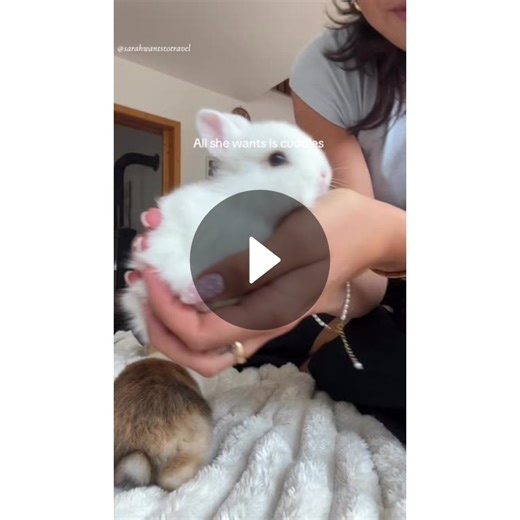 13.6K likes, 299 comments, and 3.0K shares | Adorable White Bunny Gets Cuddles & Falls Asleep in Hands | RitualsOfBeauty (@ritualsofbeau) | Posted Feb 20, 2026 | Spotlight