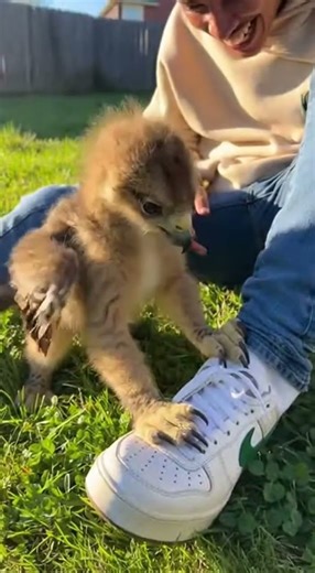 Unidentified Creature Claims My Shoe! 🤯