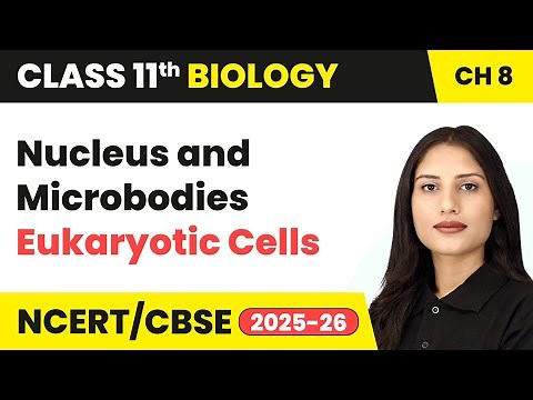 Nucleus and Microbodies - Eukaryotic Cells | Class 11 Biology Chapter 8 | CBSE 2025-26