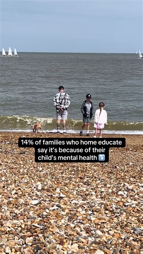 HomeEd Mum✨Building Freedom on TikTok