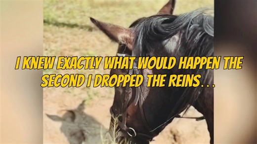 Body Language Explained: Distractions in the Arena – Is He Actually Paying Attention