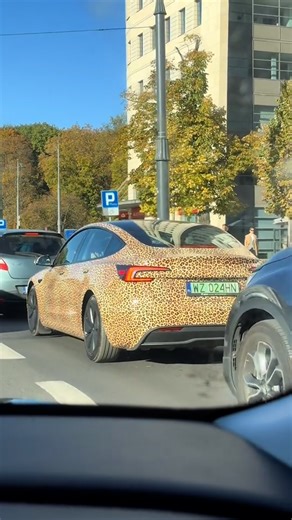 177K views · 489 reactions | Have we reached peak leopard print? 藍  @aelirennnn #leopardprint #vinylwrap #cars | UNILAD | Facebook