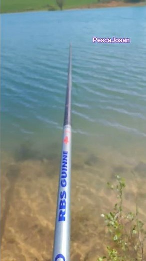 Esto es pesca al coup