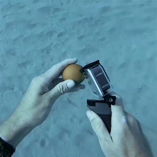 Cracking an egg underwater 🐣 | CEO Of The Ocean
