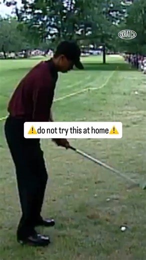 Skratch on Instagram: "“Let’s hope the root’s okay. You can’t hurt those bionic arms.” 🦾 #TigerTuesday"