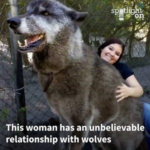This woman has an amazing relationship with wolves! | Viral Motion