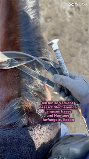 Freue mich gar nicht auf Wochenende jetzt😣|| #fypシ #viralshort #verliebt #keinbockaufwochenende