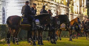 Neobičan oglas Vojske Srbije: Prodaju 15 konja, a evo kako možete da ih kupite