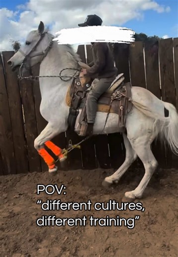 Cultural Practices in Horse Training: A Critical Perspective