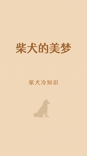 Understanding Shiba Inu Behaviors and Characteristics