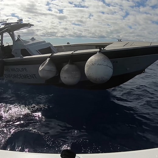 Catching a HUGE Swordfish WHILE being boarded by FWC | South Florida Fishing Channel