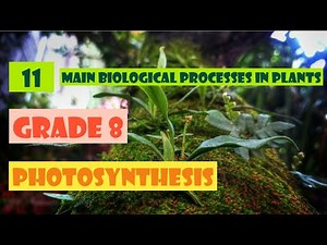 Main biological processes in plants |Unit 11|Grade 8|Science |English medium| Part 1