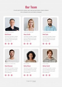 Meet the team block - CSS Template by Nicepage