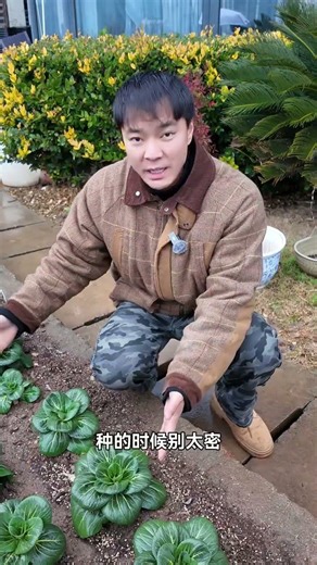 Spring Tips: Keep Your Plants Healthy, Naturally