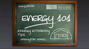 The Alliance to Save Energy's Monique O'Grady explains how Energy Star rated homes can help new home buyers save on energy costs, and can lower energy bills by between $200-$400 dollars per year. | Energy Now | Facebook