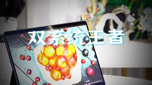 【笔记本推荐】H3C新华三MegaBook【国补15%】双系统二合一笔记本电脑Lunar Lake 16G 1T本地AI长续航轻薄本平板电脑