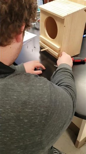 Attaching barn owl box latch #owls