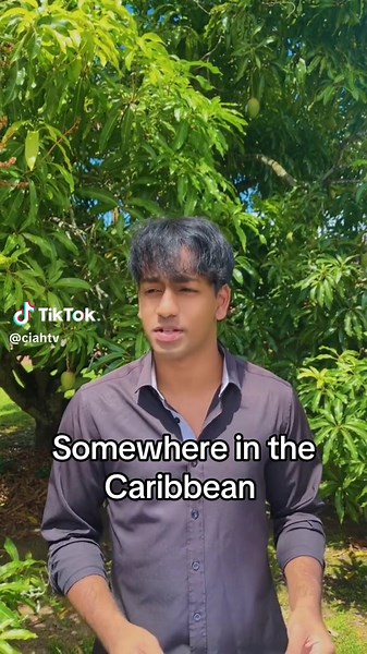 Is it just trinidad or the entire caribbean? #tr #trending #trendingvideo #trini_tiktoks #trinidadandtobago #viraltiktok #viraltiktokvideo #trinidad #fyp #virall #caribbeantiktokeurs🇭🇹🇬🇾🇹🇹🇸🇷🇯🇲 #caribbean #vir #trinidadandtobago🇹🇹 #trinidadisnotarealplace #comedyvideo #caribbeantiktok #trini #fight #lawyer